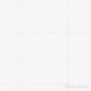 PRISMA 30X60 CJ. 1.31