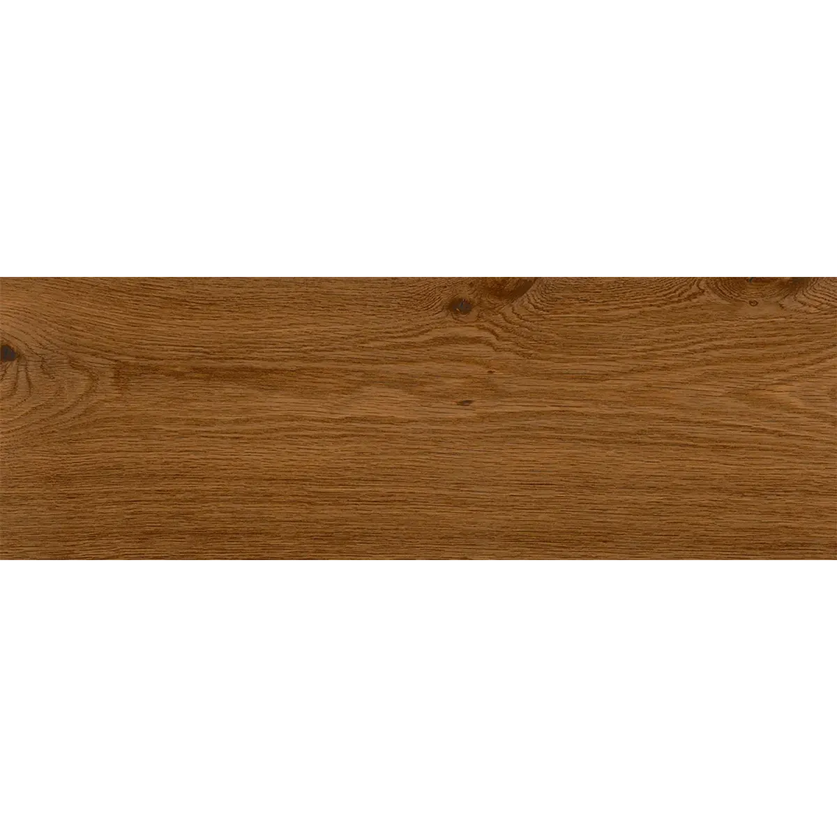 GORBEIA 20X60 PRIM 1.44