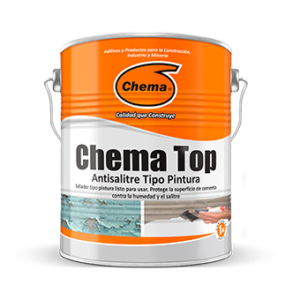 Chema Top Antisalitre Tipo Pintura
